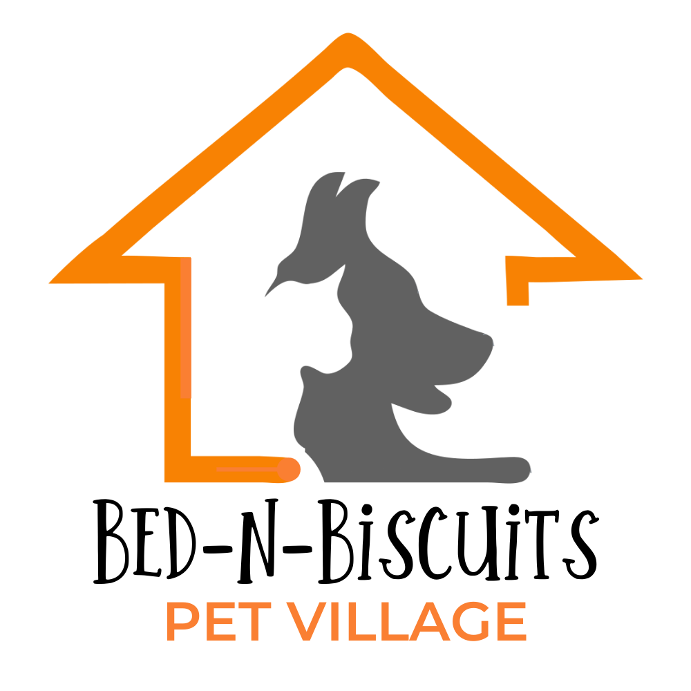 Switchpoint - Changing the Face of Poverty