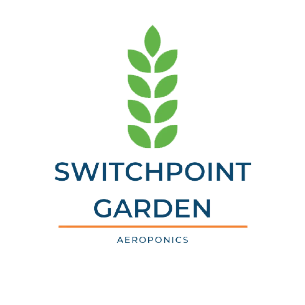 Switchpoint - Changing the Face of Poverty